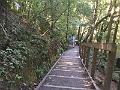 IMG_3445