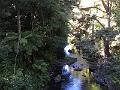 IMG_3451