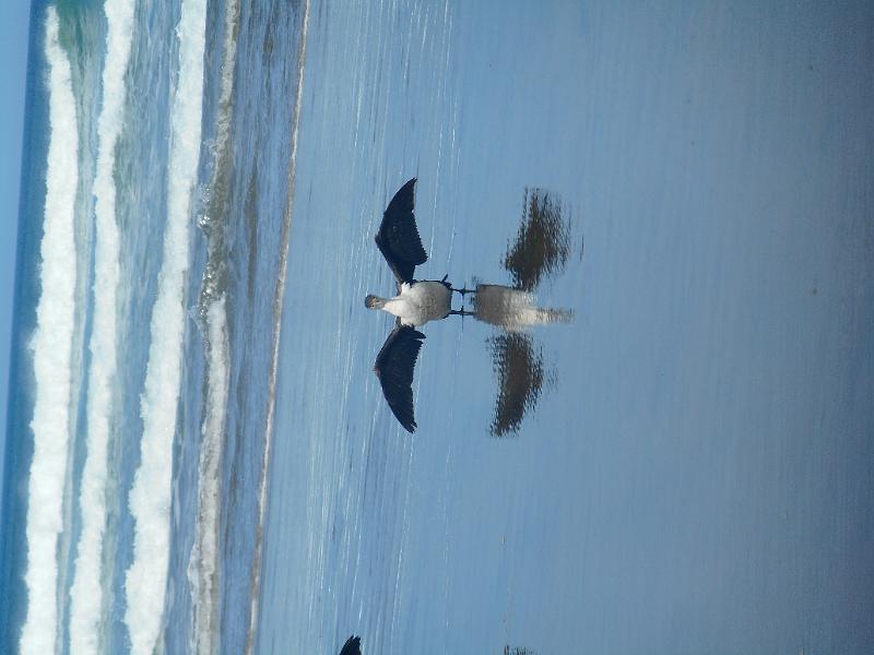 DSCN2531.JPG