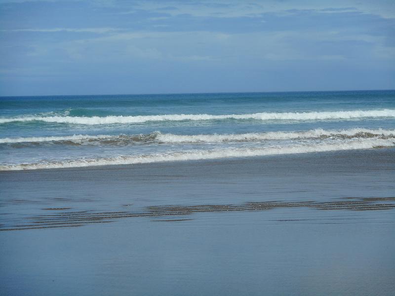 DSCN2533.JPG