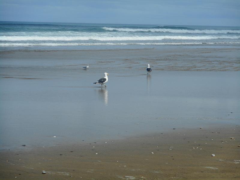 DSCN2536.JPG