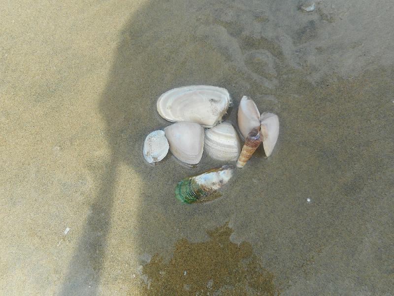 DSCN2541.JPG