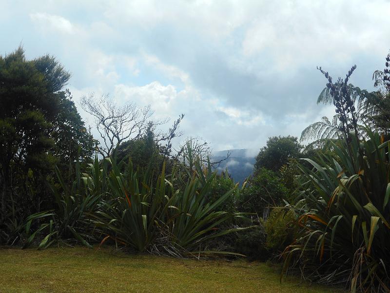 DSCN2546.JPG