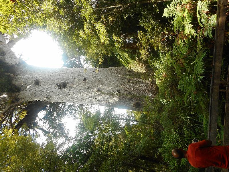 DSCN2549.JPG