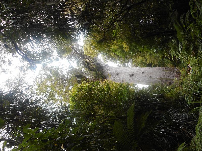 DSCN2552.JPG
