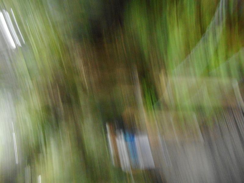 DSCN2556.JPG