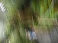 DSCN2556