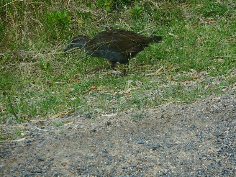 DSCN2584.JPG