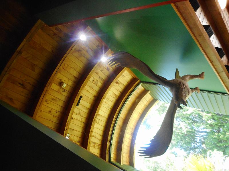 DSCN1470.JPG