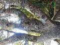 DSCN1474