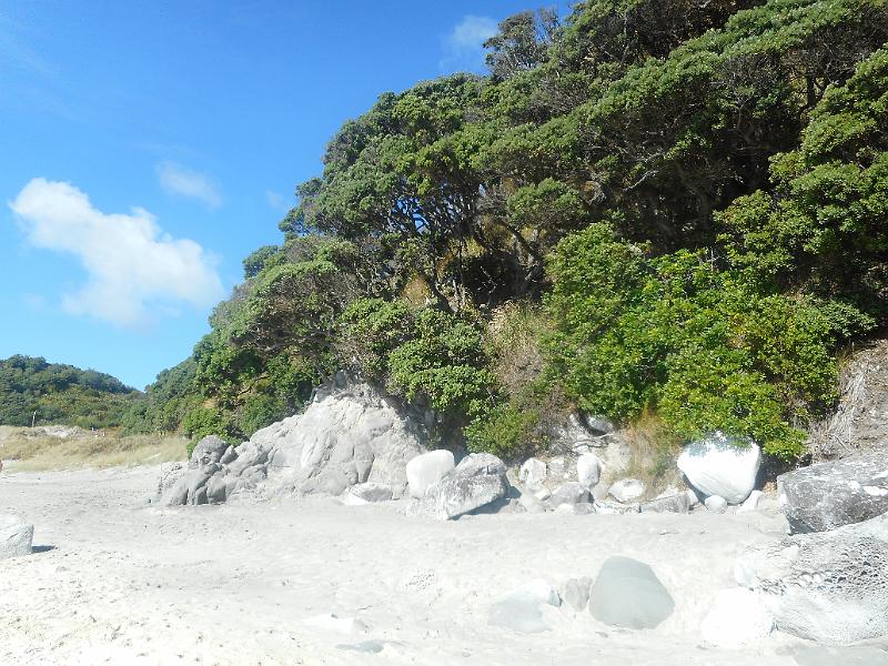 DSCN2667.JPG