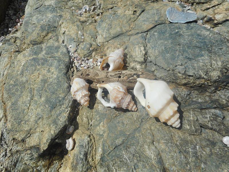 DSCN2690.JPG