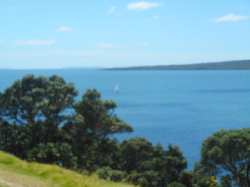 DSCN1501.JPG