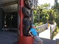 IMG_2278