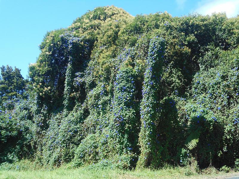DSCN1516.JPG