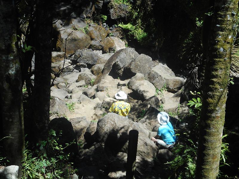 DSCN1518.JPG