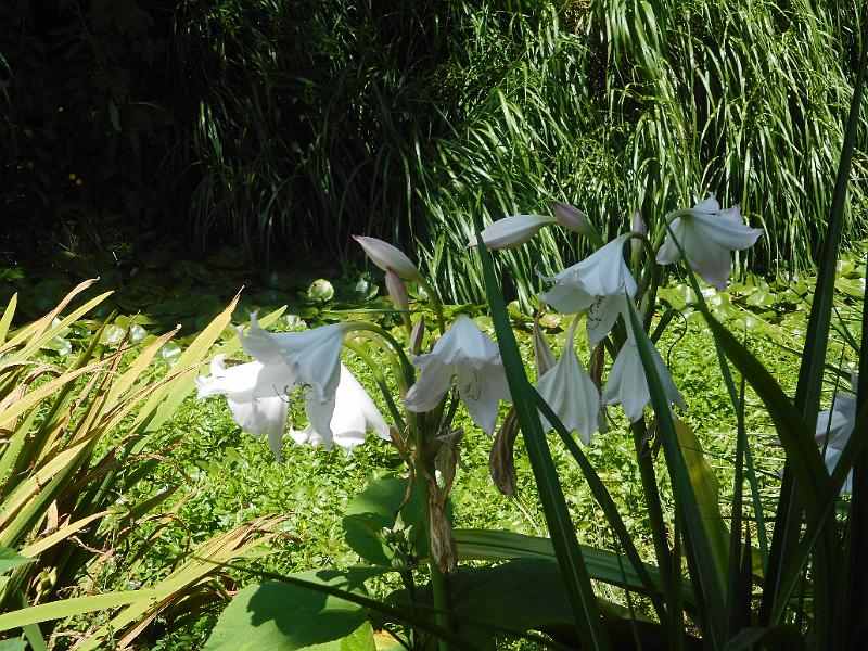 DSCN1543.JPG