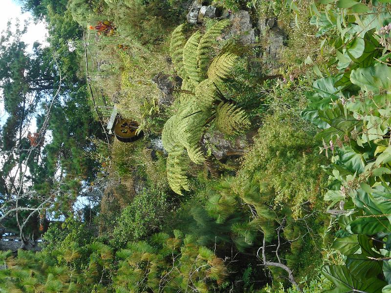 DSCN1547.JPG