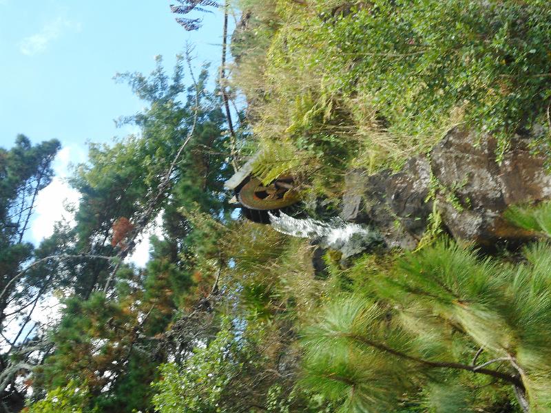 DSCN1548.JPG