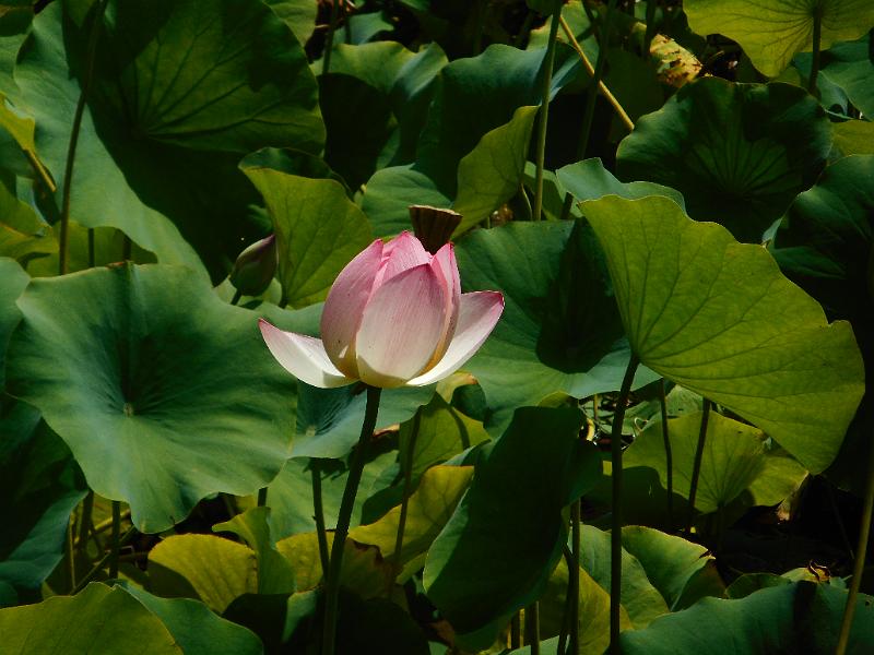 DSCN1557.JPG