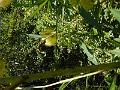 DSCN1542