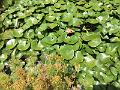 IMG_2372