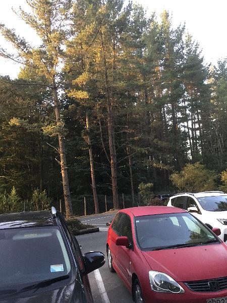 IMG_2382.JPG