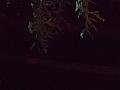 DSCN1580