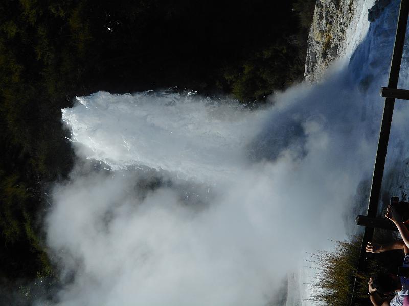 DSCN1597.JPG