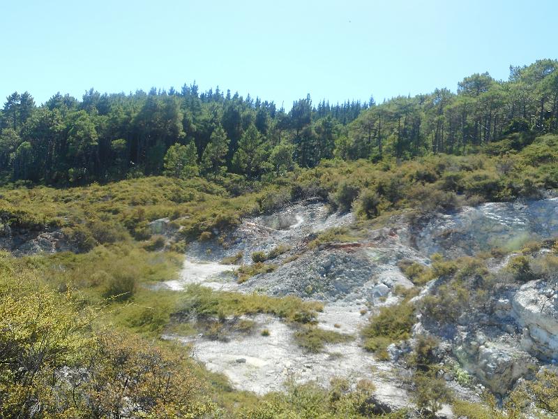 DSCN1608.JPG