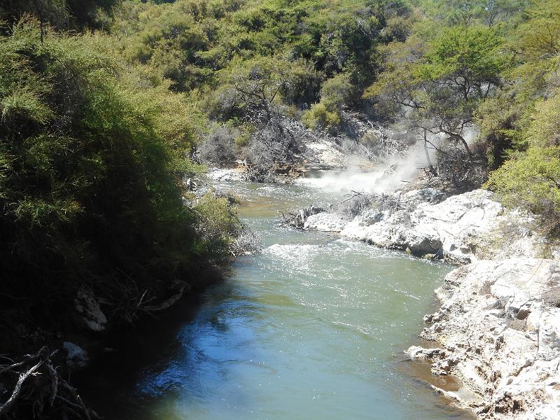 DSCN1670.JPG