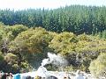 DSCN1587