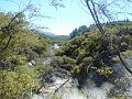 DSCN1602