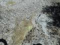 DSCN1635