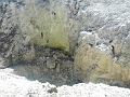 DSCN1662