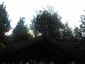 DSCN1698