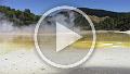 IMG_2434