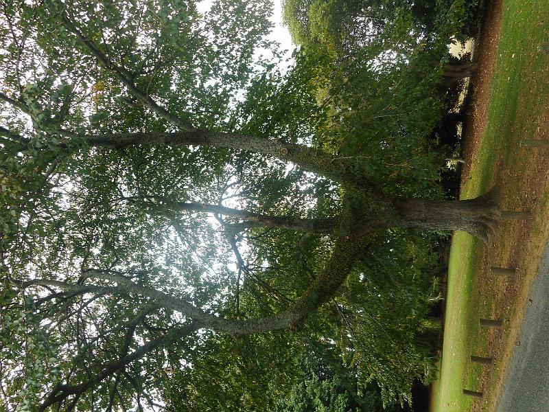 DSCN1711.JPG