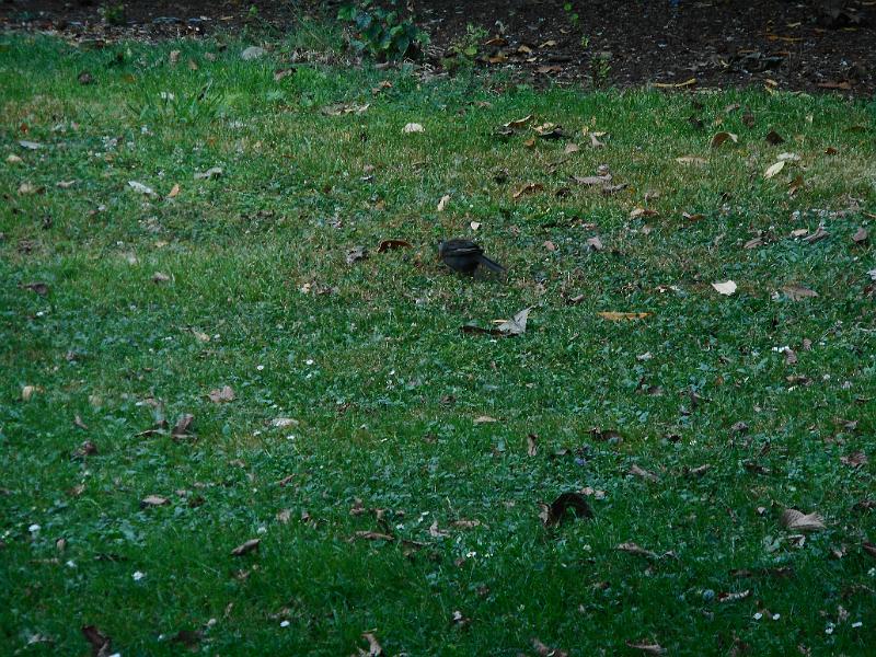DSCN1712.JPG