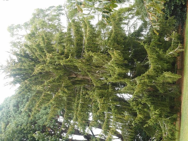 DSCN1713.JPG