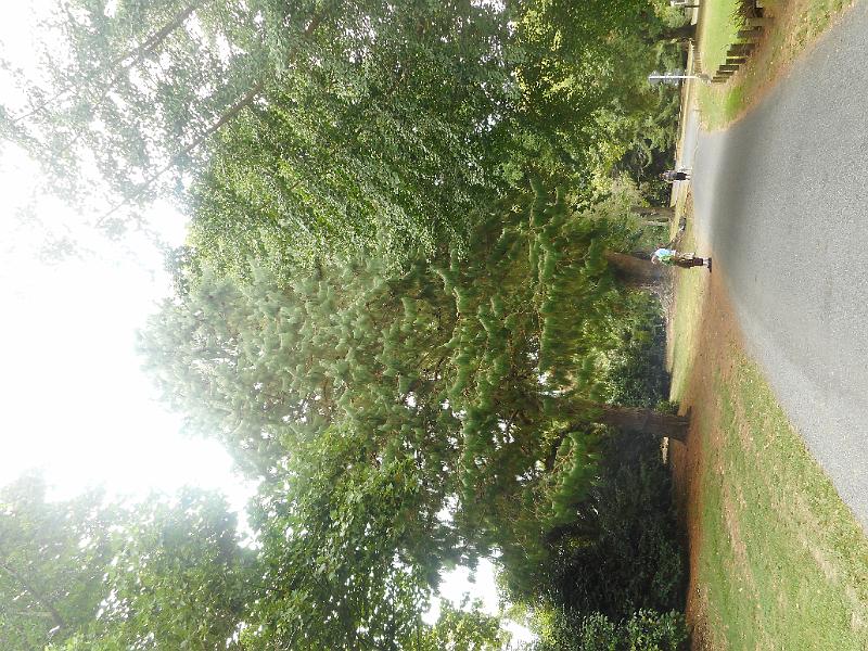 DSCN1714.JPG
