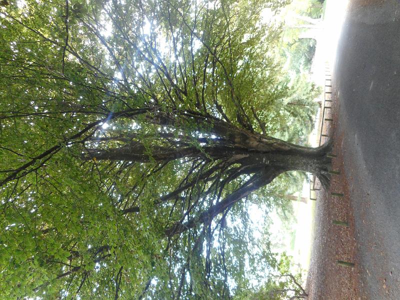 DSCN1722.JPG