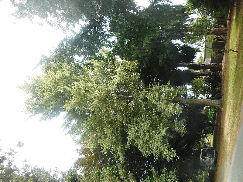 DSCN1723.JPG
