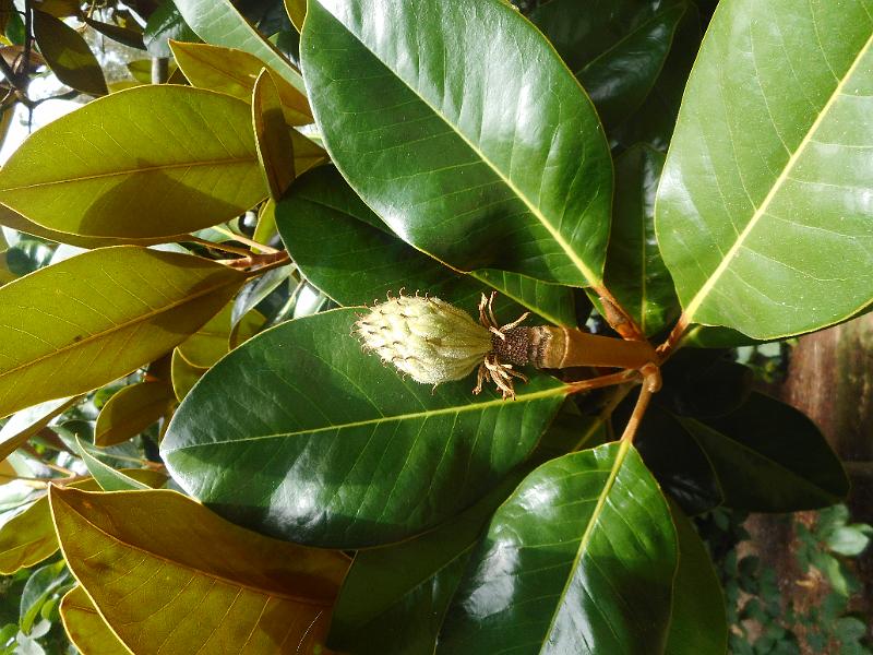 DSCN1725.JPG