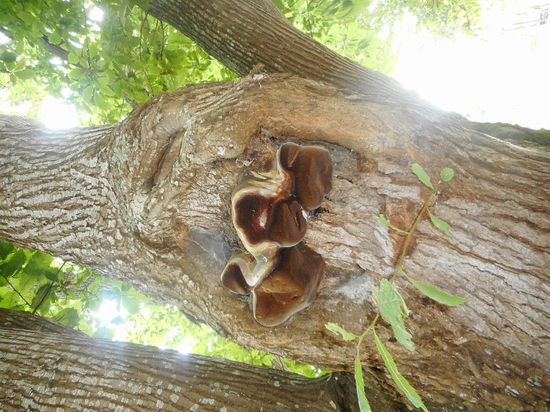 DSCN1727.JPG