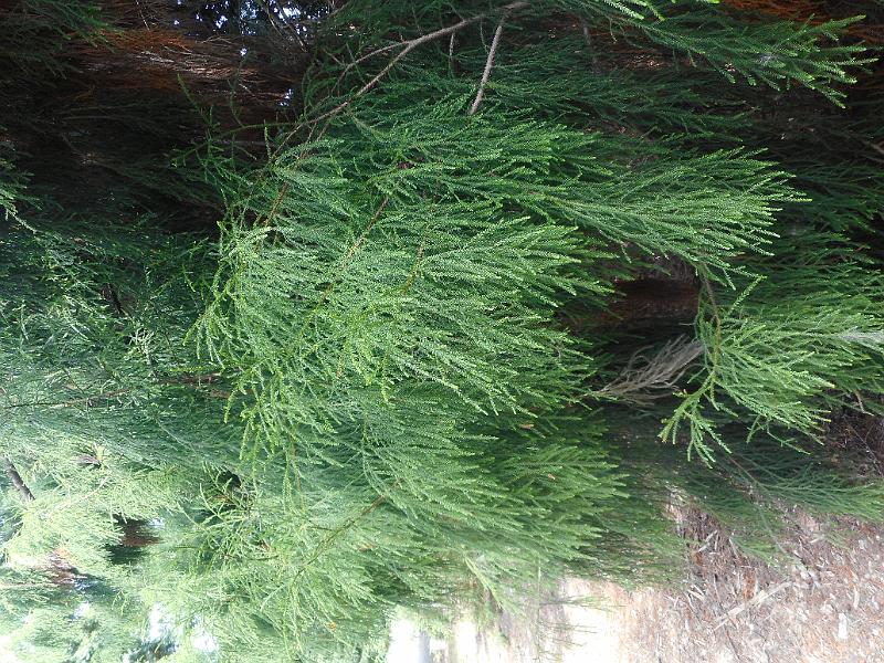 DSCN1729.JPG