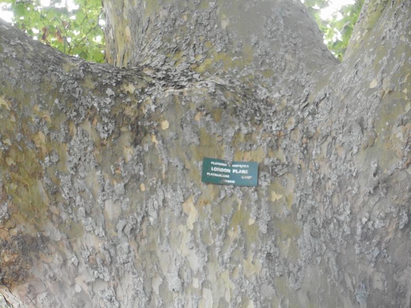 DSCN1731.JPG