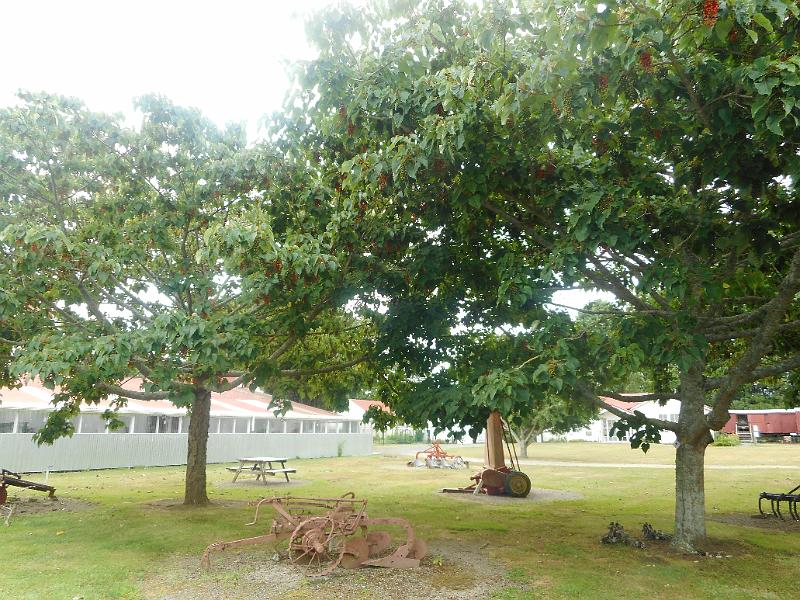 DSCN1746.JPG