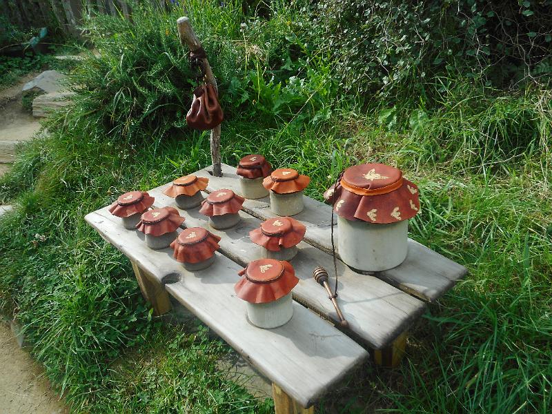 DSCN1773.JPG