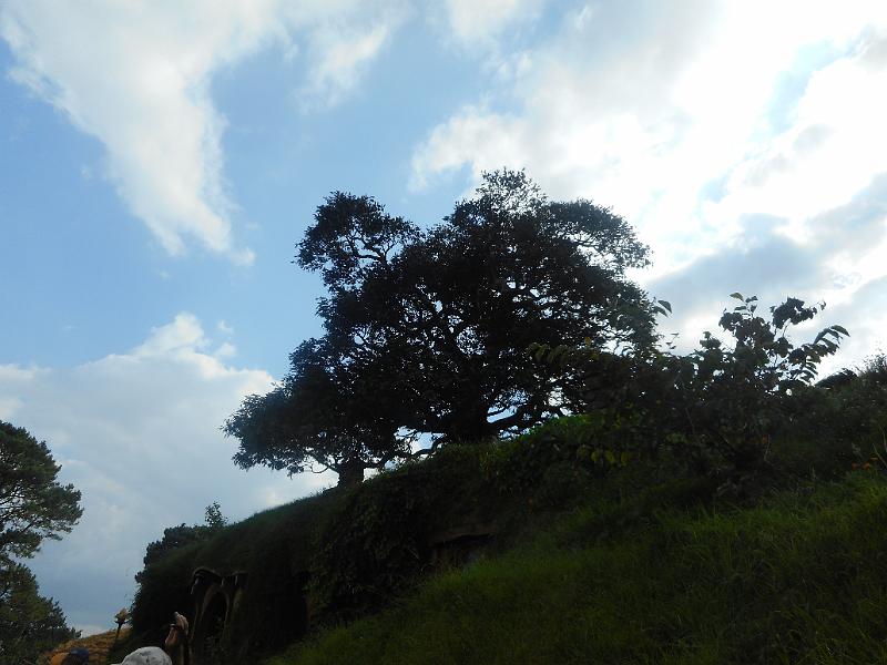 DSCN1778.JPG